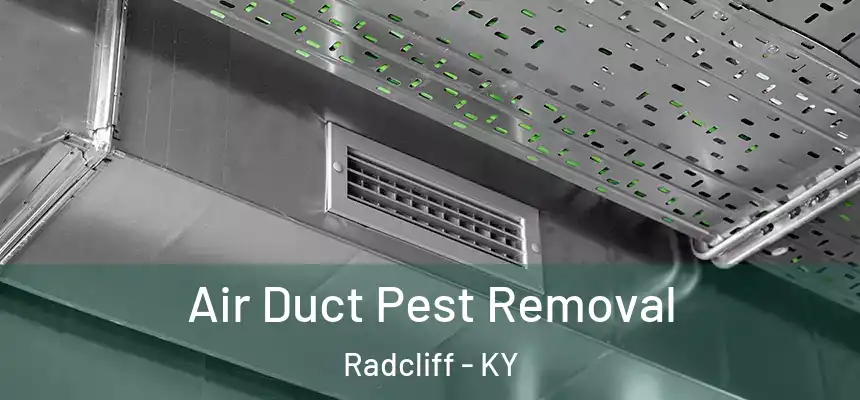Air Duct Pest Removal Radcliff - KY