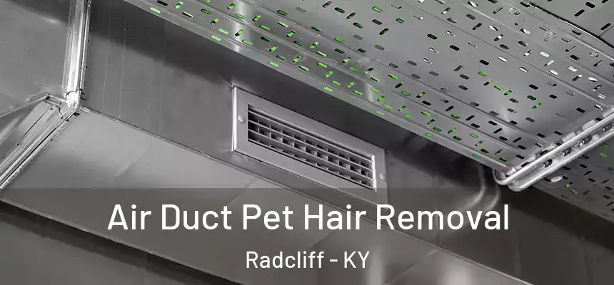 Air Duct Pet Hair Removal Radcliff - KY