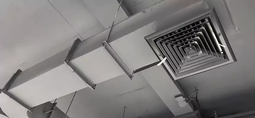 Restorative Allergy Relief Vent Cleaning – Coil, Blower & Housing Detail in Radcliff