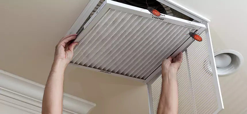 Our Insect Removal from Air Ducts Services in Radcliff, KY
