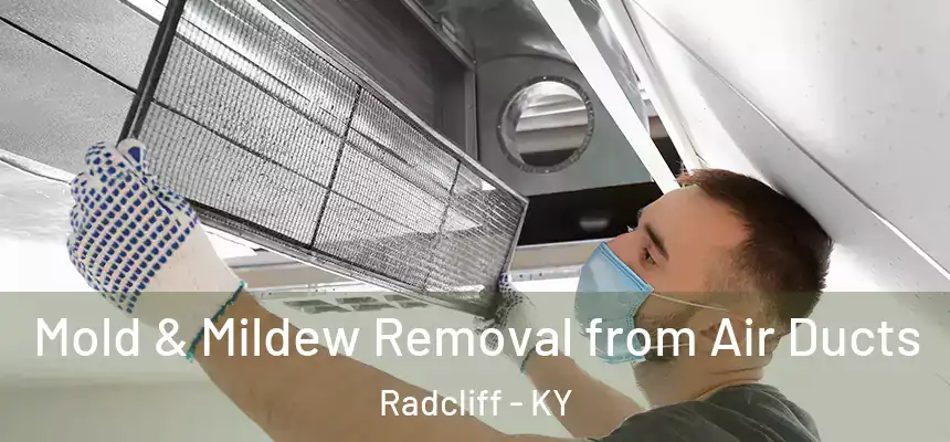 Mold & Mildew Removal from Air Ducts Radcliff - KY