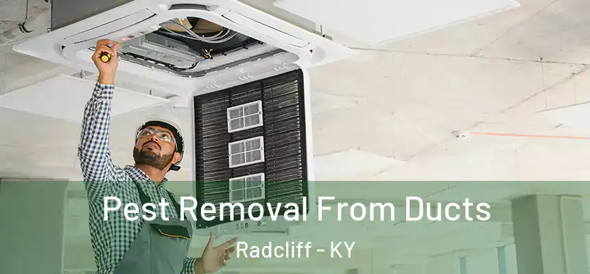  Pest Removal From Ducts Radcliff - KY