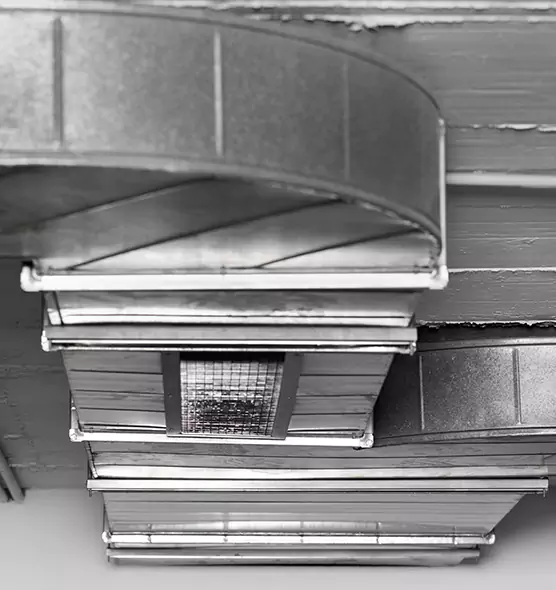 Professional Air Duct Pest Removal in Radcliff, KY