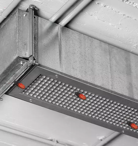 Affordable Insect Removal from Air Ducts in Radcliff, KY