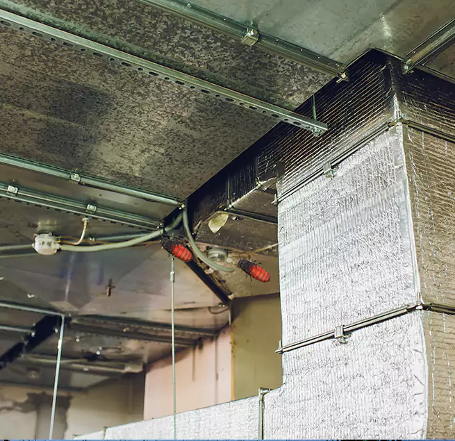 Why Homeowners & Businesses Trust Us in Radcliff, KY?