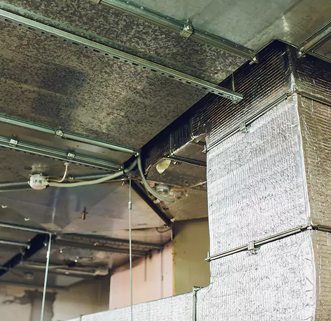 Why Homeowners & Businesses Trust Us in Radcliff, KY?